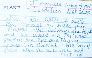 dandilion